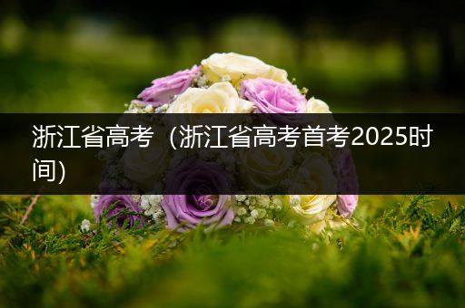 浙江省高考（浙江省高考首考2025时间）