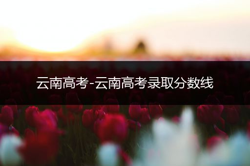 云南高考-云南高考录取分数线