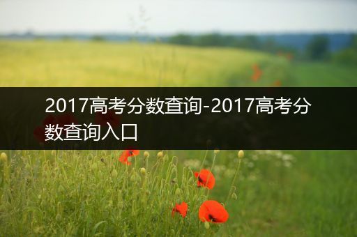 2017高考分数查询-2017高考分数查询入口