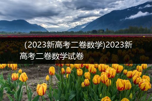 （2023新高考二卷数学)2023新高考二卷数学试卷