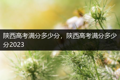 陕西高考满分多少分，陕西高考满分多少分2023