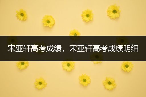 宋亚轩高考成绩，宋亚轩高考成绩明细