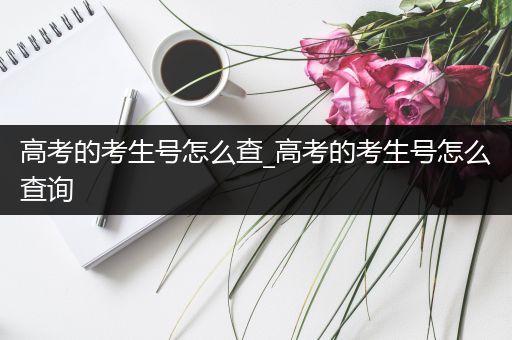 高考的考生号怎么查_高考的考生号怎么查询