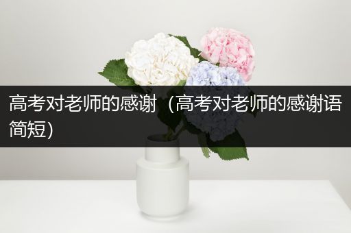 高考对老师的感谢（高考对老师的感谢语简短）