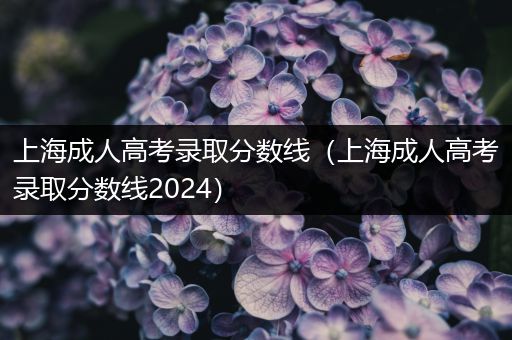 上海成人高考录取分数线（上海成人高考录取分数线2024）