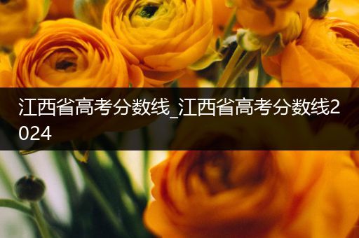 江西省高考分数线_江西省高考分数线2024