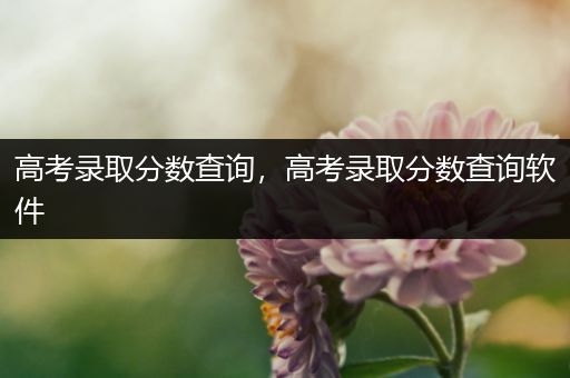 高考录取分数查询，高考录取分数查询软件