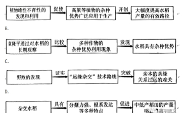 四川高考试卷：2022年四川高考语文试卷和答案